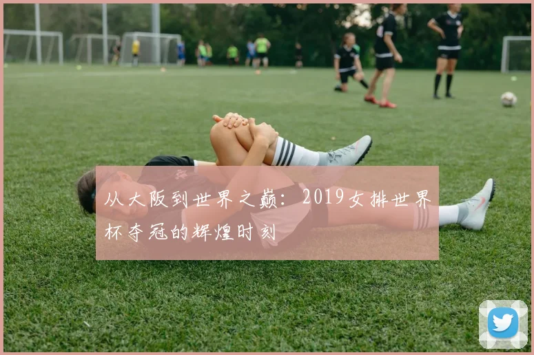 从大阪到世界之巅：2019女排世界杯夺冠的辉煌时刻
